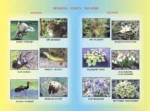 Географія, 8 клас - Зображення 3