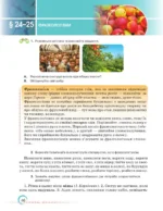 Українська мова, 6 клас - Зображення 3