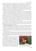 Українська література (профільний рівень), 10 клас - Зображення 5